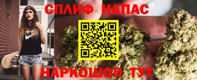 прущие грибы Ставрополь