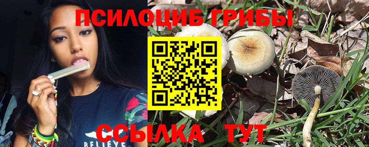 Псилоцибиновые грибы MAGIC MUSHROOMS  наркошоп  Вход с VPN  Шебекино  Галлюциногенные грибы Psilocybe 
