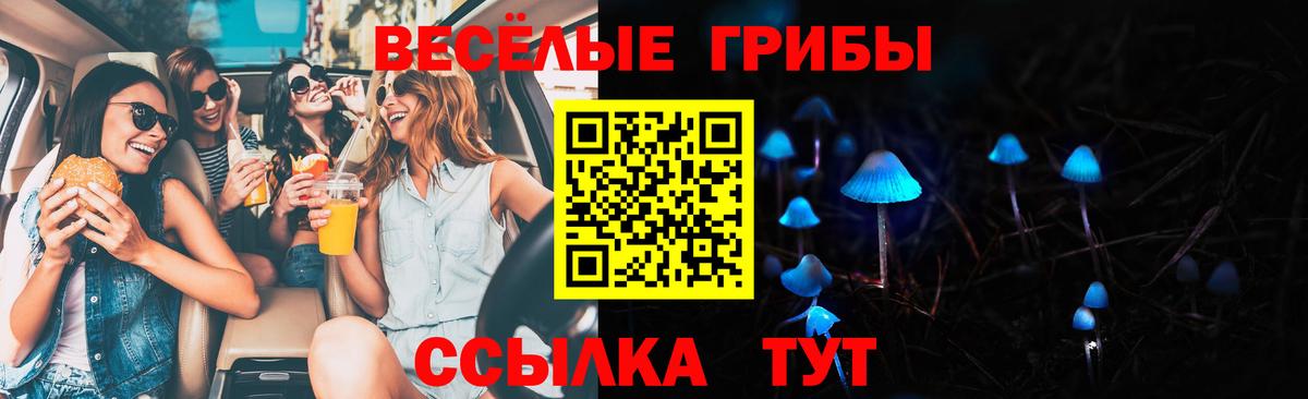 ГАШ Шебекино